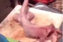 Cá đã bị làm thịt bỗng ‘sống lại’ khiến dân tình hú vía