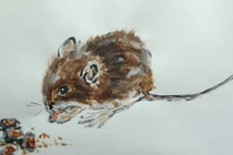 Top 3 con giáp cuộc sống thăng hoa, hương trọn lộc trời