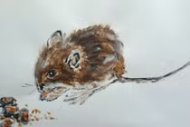 Top 3 con giáp cuộc sống thăng hoa, hương trọn lộc trời