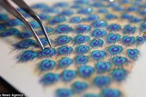 Thiệp Noel 2014 giá khủng hơn 200 triệu đồng