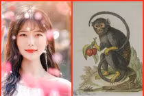 3 con giáp có số hưởng lộc, quý nhân mở đường, thần tài thổi lộc đến tận nhà trong tháng 9/2019 