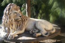 Sừng sững tượng sư tử trang trí khuôn viên nhà đại gia