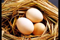 Điều gì xảy ra nếu ăn 3 quả trứng mỗi ngày?