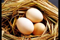 Điều gì xảy ra nếu ăn 3 quả trứng mỗi ngày?