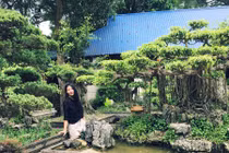 Những khu vườn độc đáo trong biệt thự đại gia Hà Nội