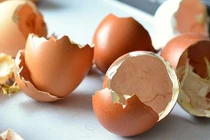 “Thần dược” vỏ trứng chữa được nhiều bệnh cực tốt 
