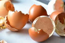 “Thần dược” vỏ trứng chữa được nhiều bệnh cực tốt 