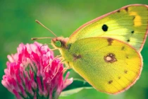 Trẻ sinh tháng Âm lịch này thông minh hoạt bát, may mắn chuyện tiền bạc