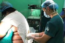 Cảnh báo những ca sinh mổ đặc biệt nguy hiểm vì sản phụ “quá khổ”