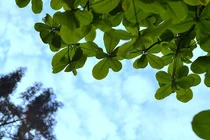 Bắc Bộ nhiều mây, mưa nắng gián đoạn