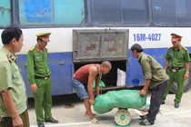 Thanh Hóa: Bắt giữ nửa tấn nội tạng động vật hôi thối 