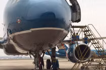 "Mổ" dòng máy bay của Vietnam Airlines bị chim trời làm hỏng