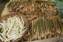 Bí kíp chế biến các món ngon từ măng đắng đang vào mùa