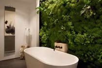 Bật mí những loại cây xanh nên trồng trong phòng tắm 