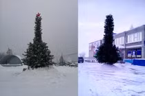 Cây thông Noel có ngoại hình nhạy cảm khiến người dân tranh cãi