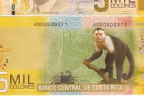 Soi loạt tiền hình khỉ mừng năm Bính Thân 2016