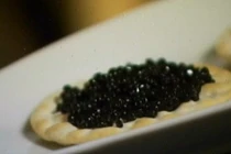 Xem quy trình nuôi và sản xuất trứng cá muối siêu đắt đỏ