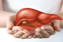 12 công thức giải độc gan tại nhà không cần gặp bác sĩ