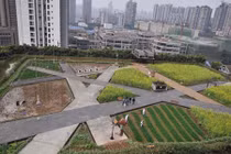 Kinh ngạc trang trại khổng lồ trên nóc nhà ở Trung Quốc