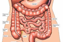 Những dấu hiệu phát hiện sớm ung thư ruột