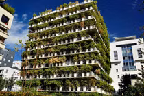 Tận mục tòa nhà phủ trúc xanh lạ lùng giữa lòng Paris