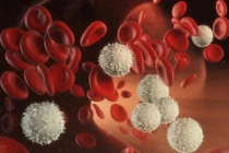 Những cách tự nhiên tăng bạch cầu cho cơ thể