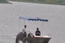 Cuộc giải cứu voi 6 tấn suýt chết đuối kỳ lạ