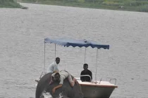 Cuộc giải cứu voi 6 tấn suýt chết đuối kỳ lạ