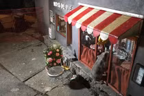 Độc đáo tiệm cà phê mini mở cho chuột ở Thụy Điển