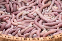 Hoảng hồn với món đặc sản nổi tiếng từ giun biển