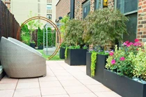 Vợ trẻ bất lực trước đề nghị của chồng hơn 23 tuổi