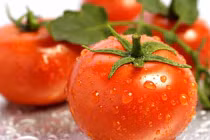 Cà chua giúp giảm nguy cơ ung thư tuyến tiền liệt