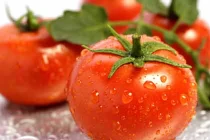 Cà chua giúp giảm nguy cơ ung thư tuyến tiền liệt