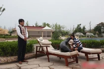 Đại gia thuê siêu khách sạn tổ chức sinh nhật thú cưng