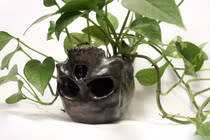 Phát sốt với chậu hoa kỳ dị trang trí bàn làm việc