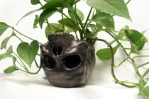 Phát sốt với chậu hoa kỳ dị trang trí bàn làm việc