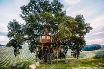 Ngắm ngôi nhà trên cây tuyệt đẹp ở Italy