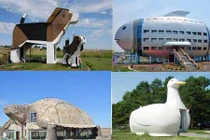 Mê mẩn ngắm nhà hình động vật độc đáo