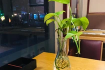 Về ra mắt, chết lặng khi thấy mẹ bạn gái, hé lộ cuộc tình tội lỗi 