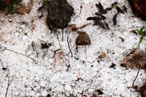 Mưa đá kèm gió lốc gây tốc mái ở Hà Giang