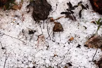 Mưa đá kèm gió lốc gây tốc mái ở Hà Giang