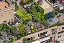 Ngắm những mái nhà xanh mát ở New York