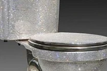 Mãn nhãn toilet chỉ để ngắm