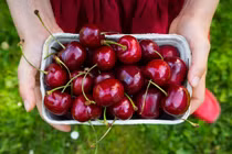 Những thực phẩm cực tốt mà người bệnh gút nên "kết thân"