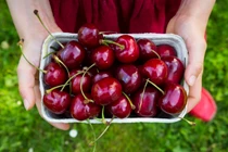 Những thực phẩm cực tốt mà người bệnh gút nên "kết thân"