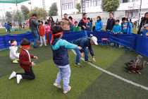 Chương trình giáo dục phổ thông mới: Ai sẽ dạy hoạt động trải nghiệm?