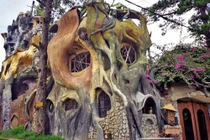 Tận mục biệt thự Đà Lạt lọt top nhà kì dị nhất thế giới