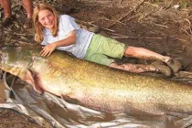 Những thủy quái khủng bị con người chinh phục (4)