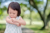 Mẹo phòng chống côn trùng đốt khi đưa bé về quê chơi