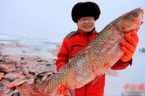 Hình ảnh bắt cá khủng giữa hồ đóng băng kiếm bộn tiền